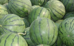 吃瓜星娱乐为什么说人类要吃盐,吃瓜星娱乐视角下的盐与人类生存之谜