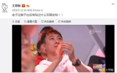 吃瓜娱乐王思聪微博,揭秘娱乐圈幕后故事