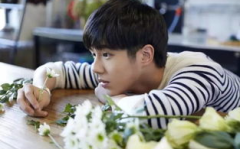 娱乐吃瓜酱龙凤胎,揭秘龙凤胎背后的明星育儿经