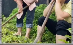 娱乐八卦是吃瓜群众的,吃瓜群众如何成为娱乐八卦的幕后推手