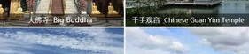 自由游旅行网,自由游旅行网带你畅游世界