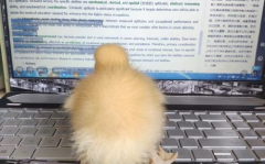 2022娱乐圈吃瓜乱象