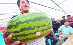 娱乐吃瓜7月,吃瓜群众狂欢季，热点事件盘点