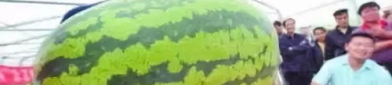 娱乐吃瓜7月,吃瓜群众狂欢季，热点事件盘点