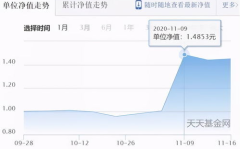 基金162607,“景顺长城资源垄断混合型证券投资基金（162607）投资策略与业绩解析”