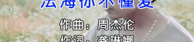 法海你不懂爱mp3,经典曲目背后的故事与魅力