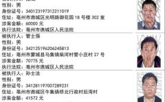 娱乐圈吃瓜小组名单公布,揭秘明星幕后故事，揭秘娱乐圈真相