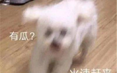 娱乐圈吃瓜微信聊天,幕后八卦大曝光