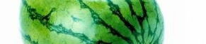 西瓜娱乐吃瓜君,吃瓜君带你揭秘西瓜娱乐幕后故事